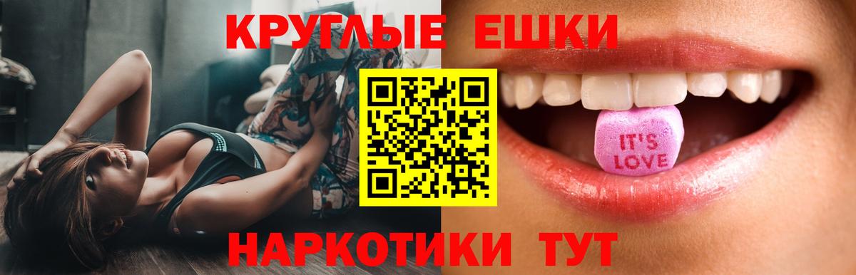 Ecstasy Philipp Plein Грозный