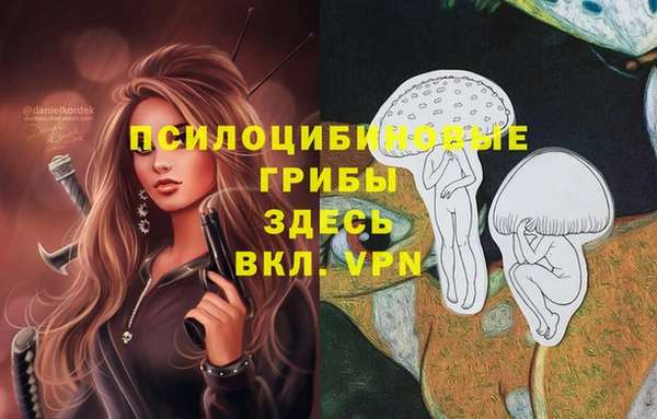 apvp Нефтегорск
