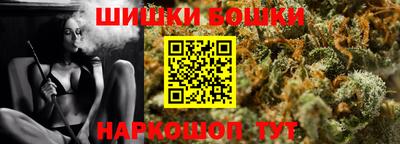 МДПВ Бийск