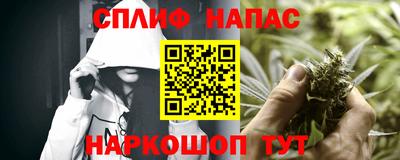 МДПВ Бийск