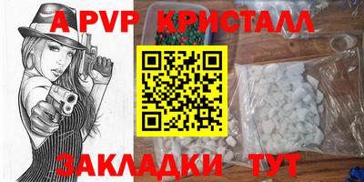 МДПВ Бийск