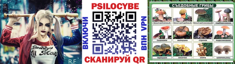 магазин продажи Грозный omg ONION Галлюциногенные грибы прущие грибы