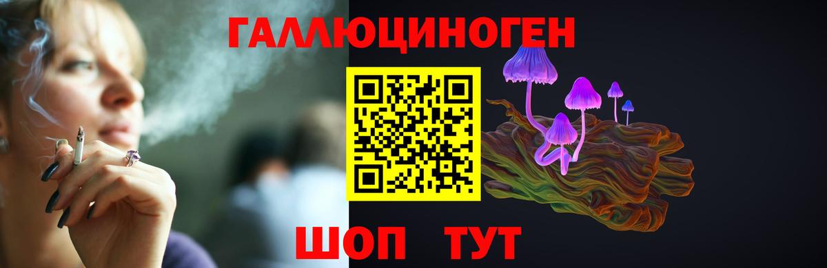 Галлюциногенные грибы GOLDEN TEACHER Грозный